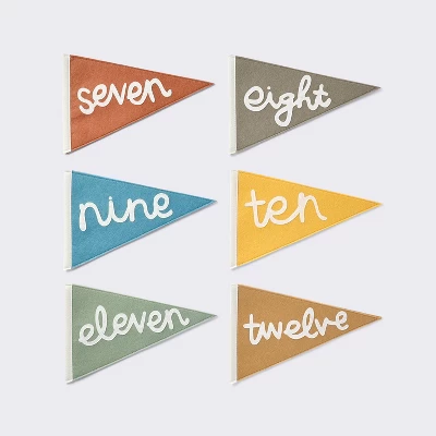 Milestone Felt Pennants - Multi Color - Cloud Island™ 3 Milestone Felt Pennants - Multi Color - Cloud Island™ - Image 3