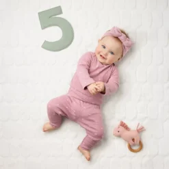 Milestone Felt Numbers - Multi Color - Cloud Island™